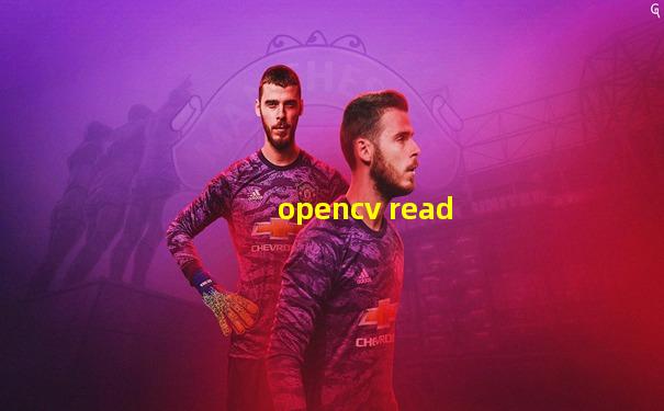 opencv read